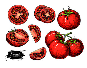 Tomato vector drawing set. Isolated tomato, sliced piece vegetables on branch - 135180657