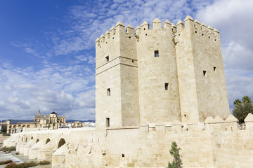 Fototapeta na wymiar Calahorra tower in Cordoba- Spain