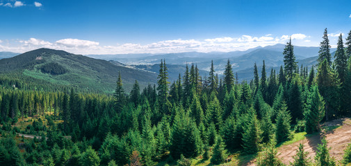 Mountain view Menchul from Drahobrat .