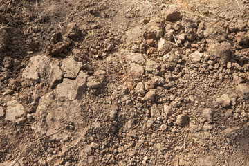 The dry summer soil water deficit impact of El Nino, La Nina., thailand