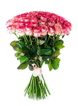 Fototapeta big bouquet of pink roses, isolated on white background