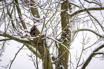 Bird nesting box on tree covered by snow in UK winter - horizontal