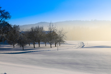 Winter, Alpen, Österreich, Winterlandschaft