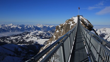 Heavenly winter walk 