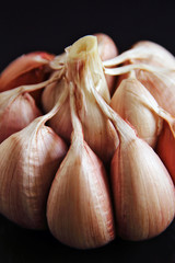 Garlic