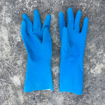  Blue Plastic Gloves
