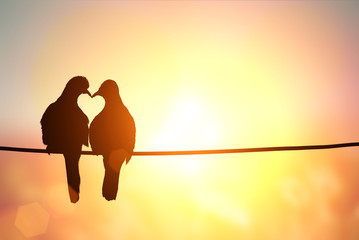 Lovebird silhouette on pastel background and Valentine's Day wedding card