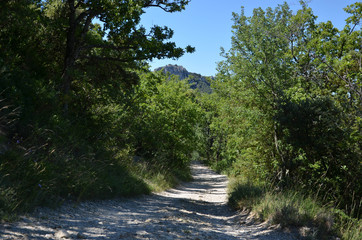 dentelles de montmiraille