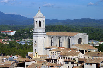 Fototapeta na wymiar Cathédrale Sainte-Marie de Gérone - 2