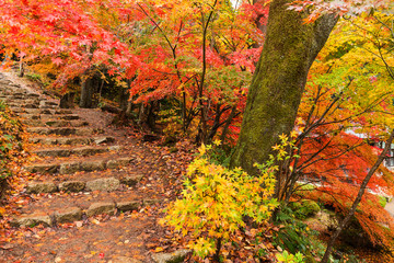 Japanese temple in autumn