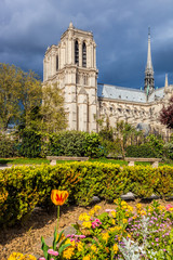 Fototapeta na wymiar Notre Dame cathedral during spring time in Paris, France