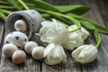 Easter eggs and white tulips