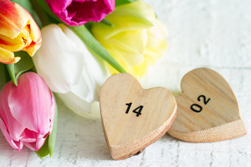 Valentine's Day dates on hearts and spring tulips on white background
