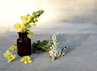 Schafgarbe, Königskerze,  Heilpflanze © behewa