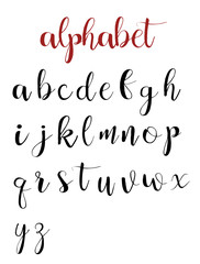 Latin alphabet letters on a white background. calligraphy font h