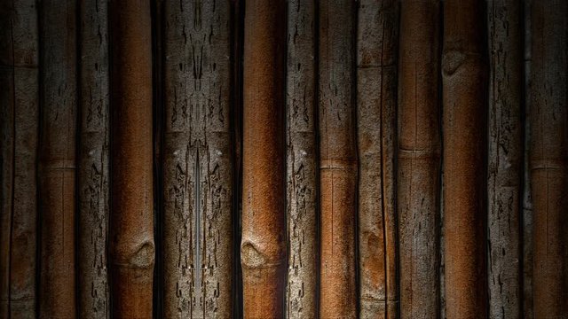 A rolling background of bamboo shoots highlighted by a subtle spotlight for use as a design element or video backdrop..