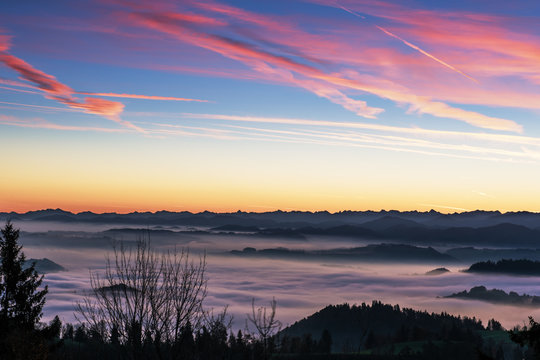 Beautiful colorful sunrise over the Swiss Alps with sea of fog extending to the orange glowing horizon. The sky is blue with purple clouds. 