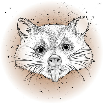 Hand draw raccoon portrait. Hand draw vector illustration