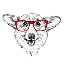 Image Portrait dog with glasses. Vector illustration