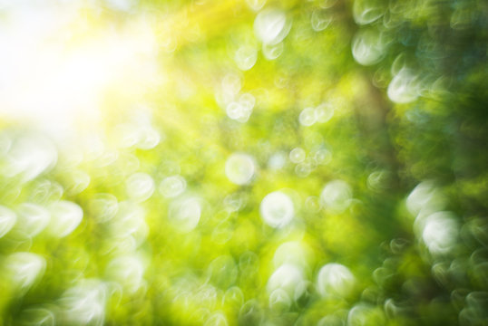 Abstract blurry spring nature bokeh background