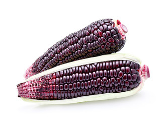 Ripe purple corn isolate on white background
