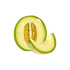 Melon Fruit Healthy Food Realistic Vector Illustration