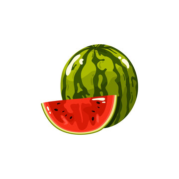 Watermelon Fruit Healthy Food Realistic Vector Illustration