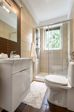 Small bathroom interior with glazed shower