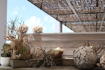 Driftwood art table exposition, moss, shells, corals