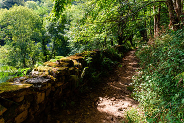 Fototapeta premium Thin trail in shade