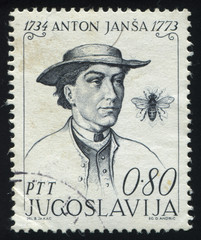 Anton Jansa