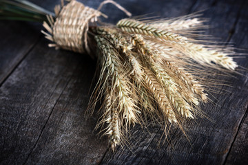 Rye spikelets on wood