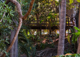 Obraz premium Troll Bridge Palm Canyon (img-6542)