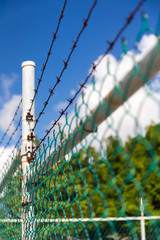 Barbed wire metallic fence