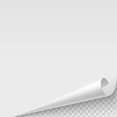 Paper poster with a wrapped up corner