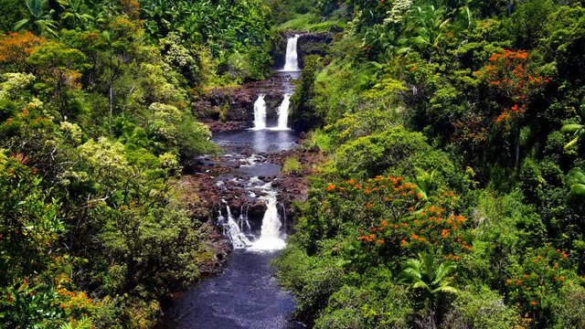 A vibrant image of Umauma Falls in Hawaii shows the three tier cascade of a beautiful natural wonder.