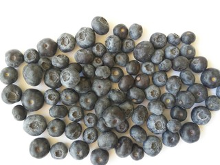 landscape blueberries