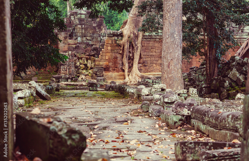 Wall mural Angkor