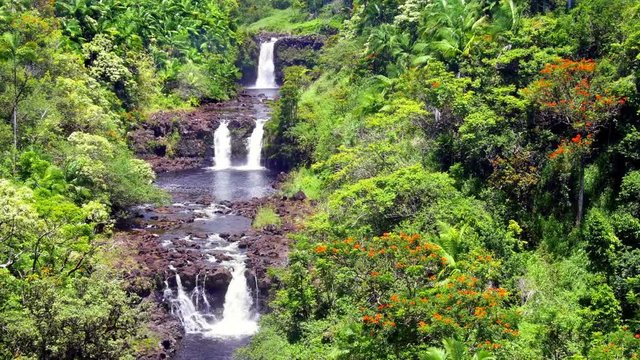 A vibrant image of Umauma Falls in Hawaii shows the three tier cascade of a beautiful natural wonder.