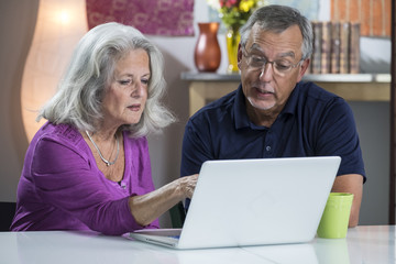 A senior aged couple video chatting on their computer