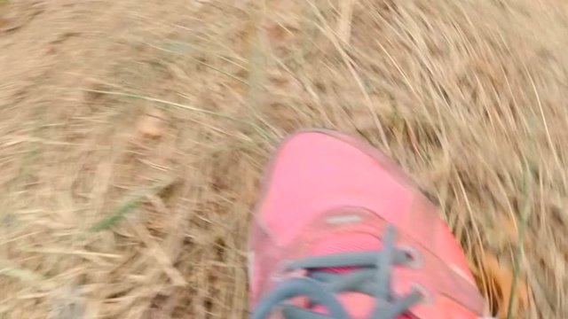 POV footage of runner feet running at forest