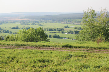 Nature Mountains Field Ecology Summer freshness Russia