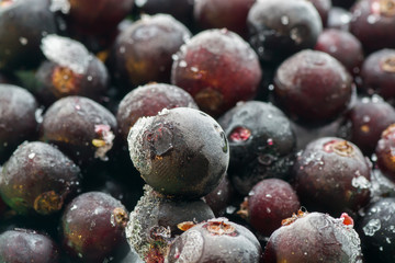 frozen berries closeup