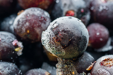 frozen berries closeup