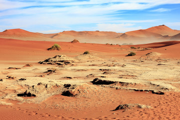Fototapeta premium Sand and dune in Sossusvlei Namibia