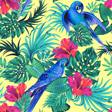 seamless vector parrern with parakeet