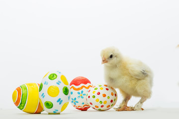 Little chicks and Easter eggs