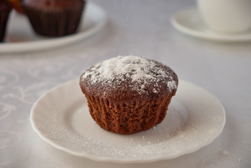 Homemade chocolate muffins with powdered sugar