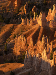 Bryce Canyon Sunrise Hoodoos