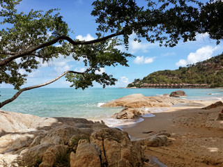 The sandy shores of the azure sea. Waves and trees. Koh Samui, Thailand